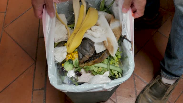 Best Property Management Cleanouts  in Spring Hill, FL